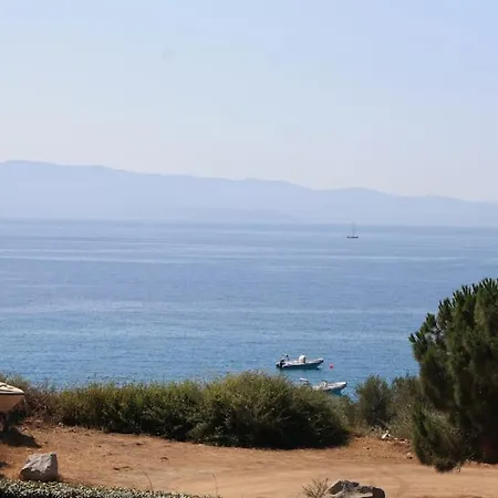 Appartement F2 Vue Dans Résidence Avec Piscine *