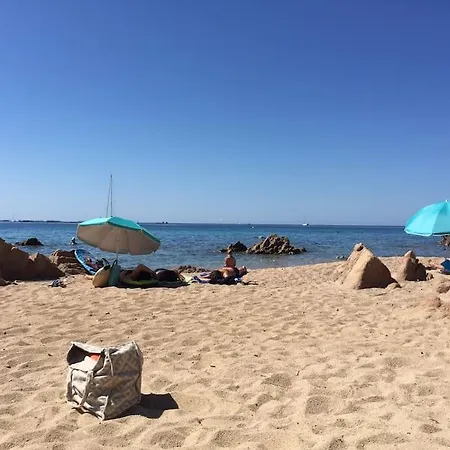 F2 Vue Dans Avec Piscine Ajaccio